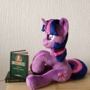 1551958safeartist-colon-burgunziktwilight+sparklebookirlpho[...]