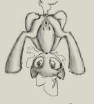 2235323kra2.png