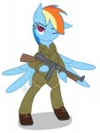 1616673.png