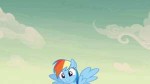 tumblrp5c06bwpxH1wzjq1do1500[1].gif
