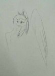 IMG20180530165243.jpeg