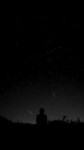 Night Stars.jpeg