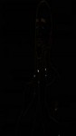 A4267534-164D-49E5-B1FF-B6AC538628B3.MP4