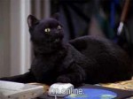 salem.jpg