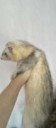 IMG20161117150031