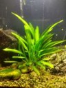 IMG20170417215034HDR