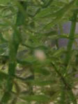 1565420113938.jpg