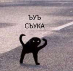 15551515015760.jpg