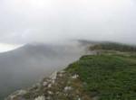 IMG5719.JPG