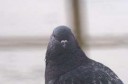 IMG4946