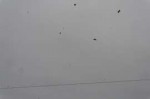 DSC00702
