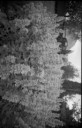 1501167776328