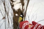 20180224-4.jpg
