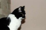 20180427-MG0339.jpg