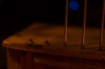 DSC09739.jpg