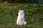 DSC25231.jpg