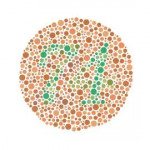 Ishihara9.png