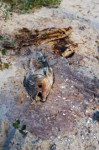 DSCF2784.jpg