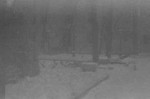 96650016 f5.6.JPG