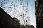 IMG3339.JPG