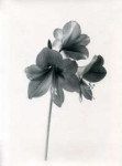 img072.jpg