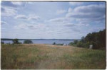 IMG04.jpg
