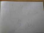 IMG20191023115338HDR.jpg