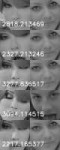 NewFaces4F3.jpg