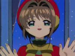 Awwww-Sakuras-face.png