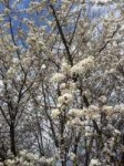 20180424135858.jpg