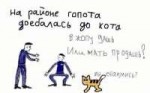 kot.gif