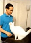 14588021945320.gif