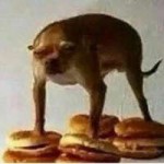 15298369142830.jpg