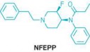 09510-notw4-nfepp-700.png