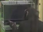 14586163246522.webm