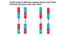 Magneticpoles-1[1].jpg