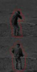 sn.jpg