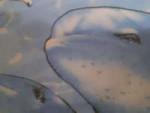 IMG20241129.jpg