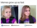 memes-grow-up-so-fast-sleepy-panda-me-sleepy-panda-me-sleep[...].png