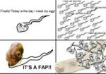 Fap6852ef2615324.jpg