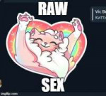 2l9htx.jpg
