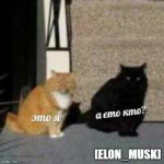 2ljo0u.jpg