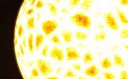 scr00989.png