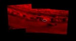 1102PIA21896VIMSImpactSiteFigBannotated.jpg