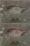 Hershef crater bird.jpg