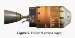 falcon03.jpg