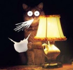 котопес.jpg