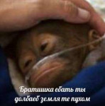 ебать ты долбоёб.jpg