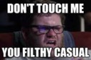It+s+the+fib+you+filthy+casual+4ca15b66c8ed9fc8c57987b6015d[...].jpg