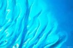 google-earth-view-1027.jpg